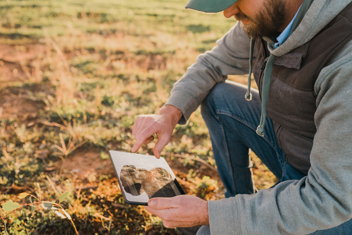 Farmer using tablet device, crouched down in paddock Dubbo - regional NSW