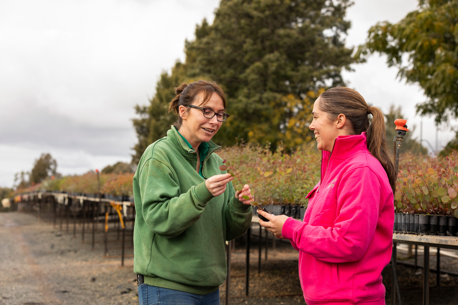 Staff members at Jayfields nursery talking and holding tree