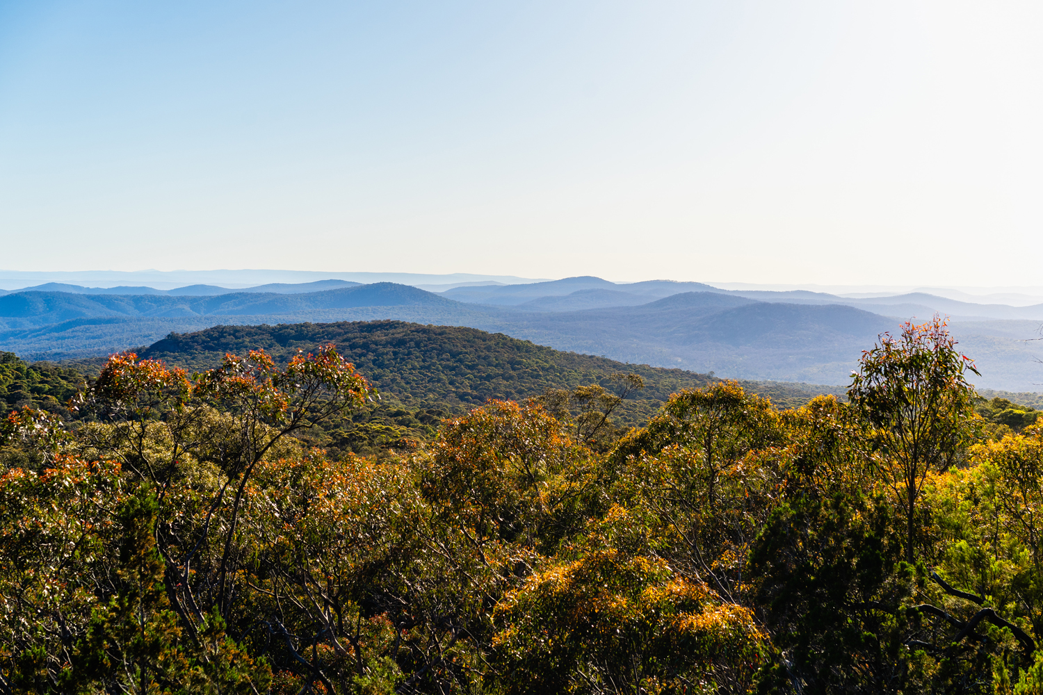 Woomargama National Park in NSW